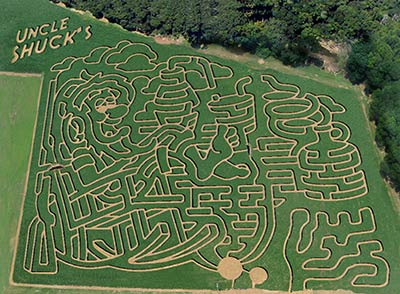 Giant corn maze and pumpkin patch at Uncle Shucks in Dawsonville, GA, North East of Atlanta near Gainesville and Alpharetta.