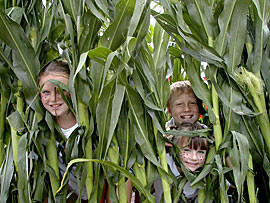 Family fun in the corn maze and pumpkin patch at Uncle Shucks in Dawsonville, GA, North East of Atlanta near Gainesville and Alpharetta. 