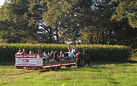 Wagon rides are part of the farm fun at Uncle Shucks Pumpkin Patch and Corn Maze, Alpharetta, Georgia, North East of Atlanta near Gainesville and Alpharetta.
