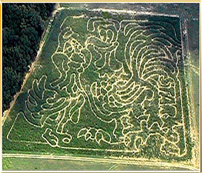 Uncle Shuck's Corn Maze, 2002, in Dawsonville, Georgia