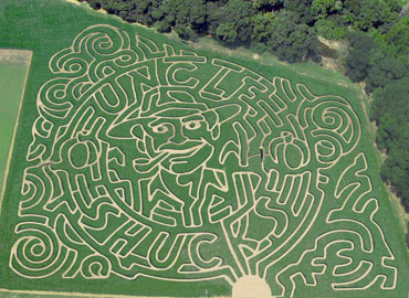 Dawsonville's family fun corn maze and pumpkin patch, North East of Atlanta near Gainesville.