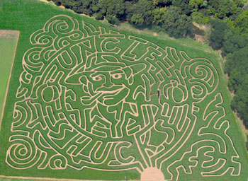 Giant corn maze and pumpkin patch at Uncle Shucks in Dawsonville, GA, North East of Atlanta near Gainesville and Alpharetta.