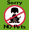No pets please