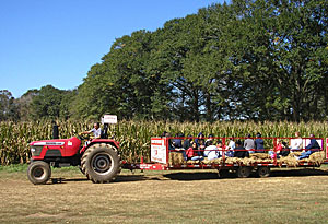 A tractor drawn wagon ride takes your group to the "classroom" at Uncle Shuck's, in Dawsonville, Georgia