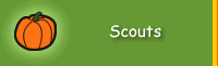 For Scouts