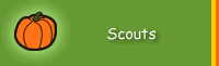 For Scouts