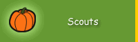 For Scouts