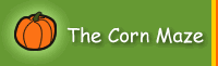 Corn Maze