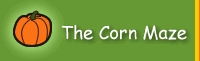 Corn Maze